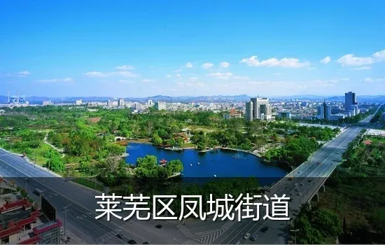 莱芜区凤城街道