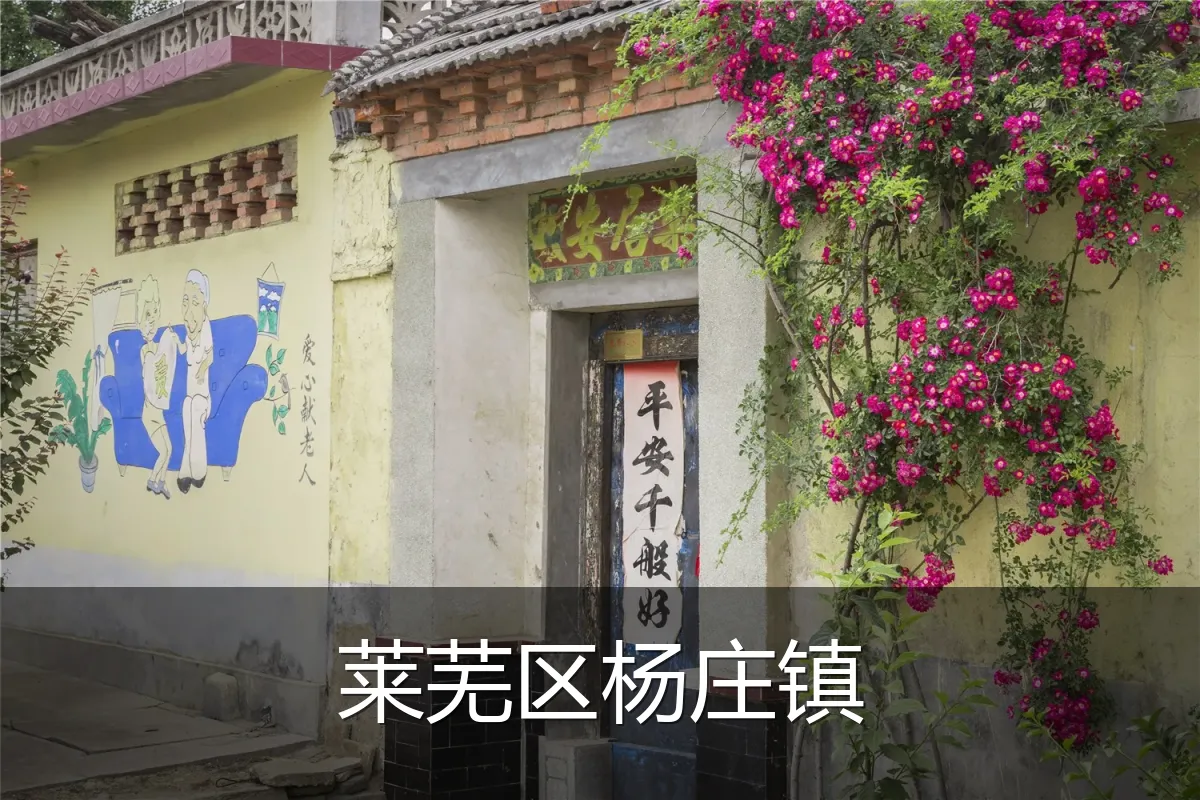莱芜区杨庄镇