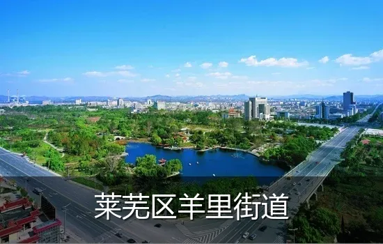 莱芜区羊里街道